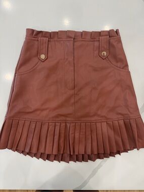 Zara Rust Pleated Faux Leather Mini Skirt